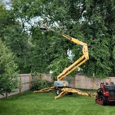 Best Lawn Grading and Leveling  in Spencer, WI