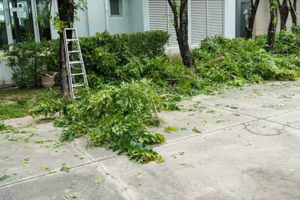 Best Tree Health Inspection  in Spencer, WI